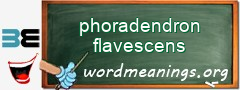 WordMeaning blackboard for phoradendron flavescens